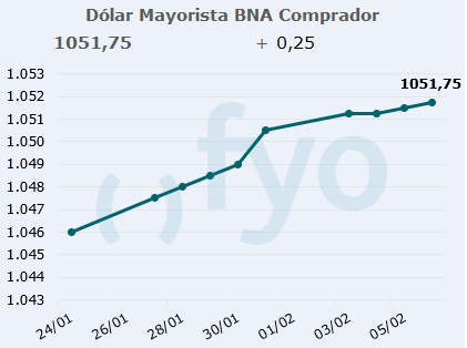 dolar bna
