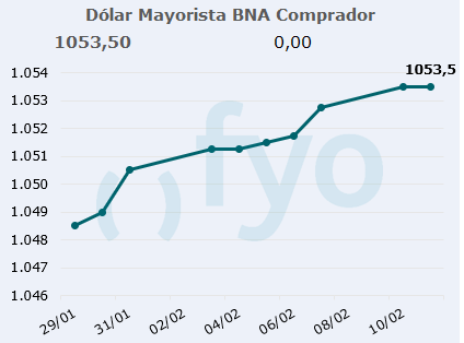 dolar bna