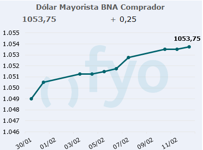dolar bna