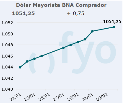 dolar bna