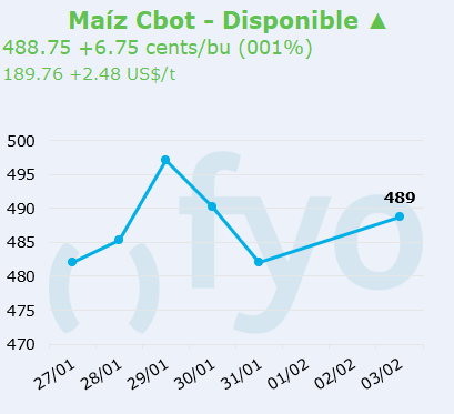 maiz cbot