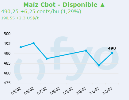 maiz cbot