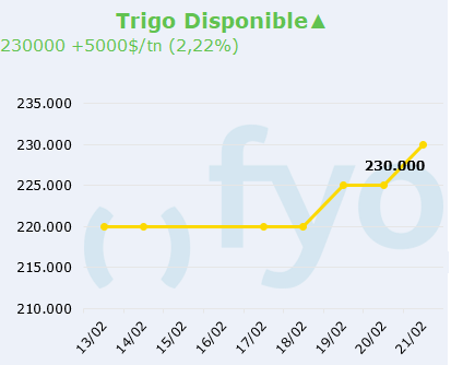 trigo LOCAL