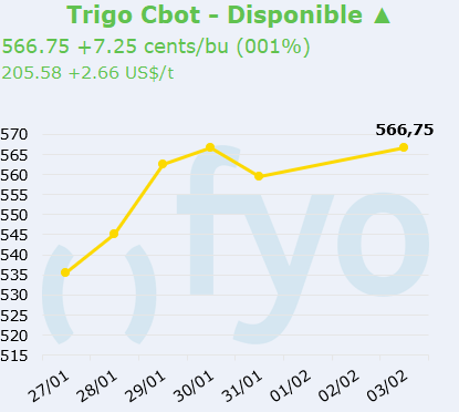 trigo cbot