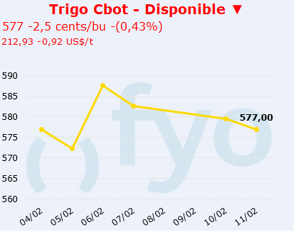 trigo cbot
