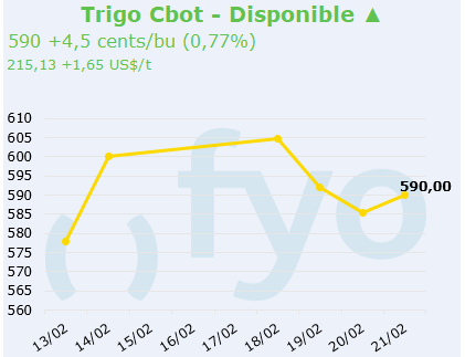 trigo cbot