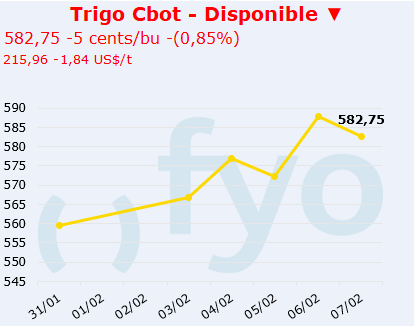 trigo cbot