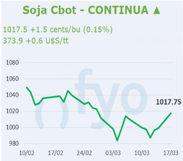 Soja CBOT