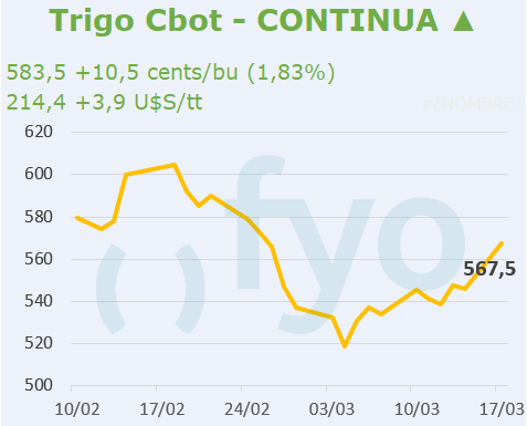 Trigo CBOT