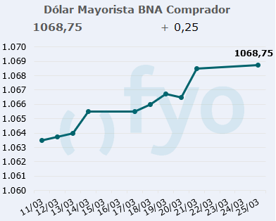 dolar bna
