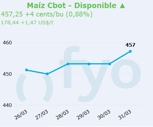 maiz cbot