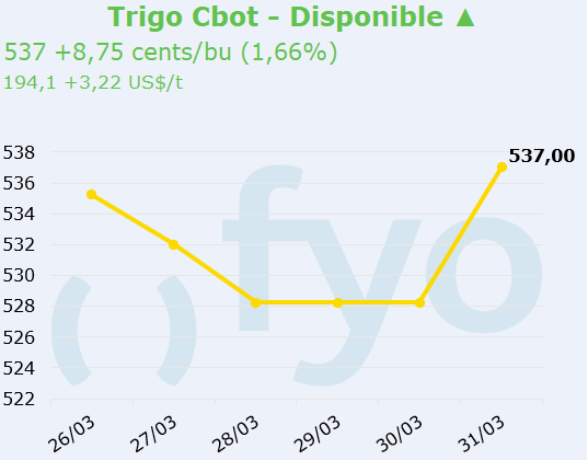 trigo cbot