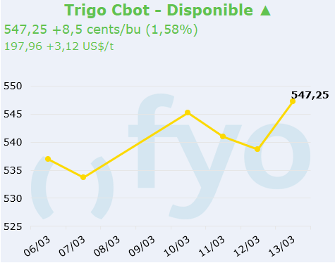 trigo cbot