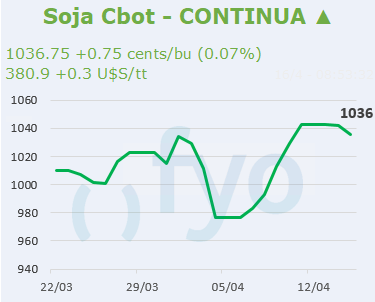 Soja CBOT
