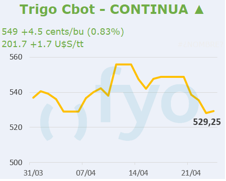 Trigo CBOT