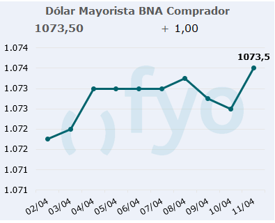 dolar bna