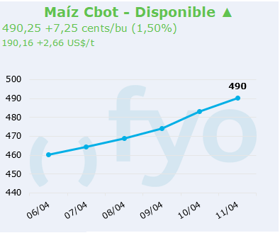 maiz cbot