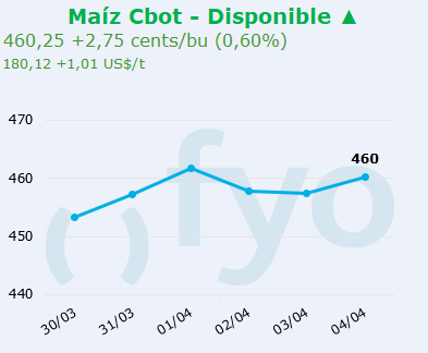 maiz cbot
