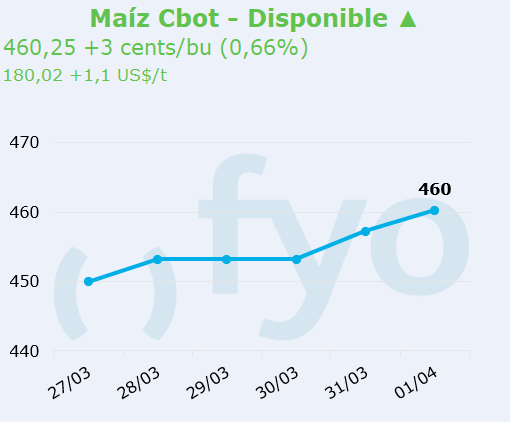 maiz cbot