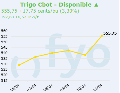 trigo cbot