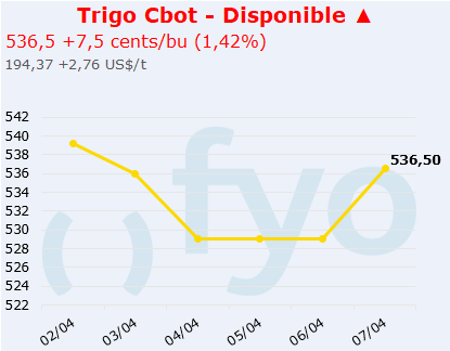 trigo cbot