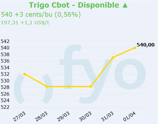trigo cbot