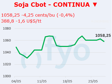 Soja CBOT