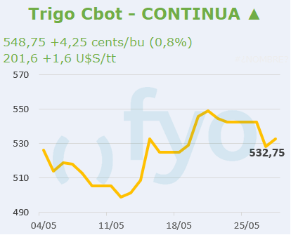 Trigo CBOT
