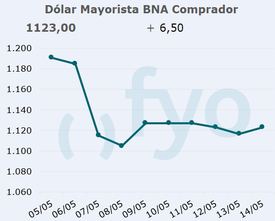 dolar bna