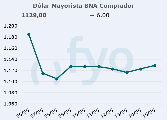 dolar bna