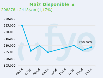 maiz LOCAL