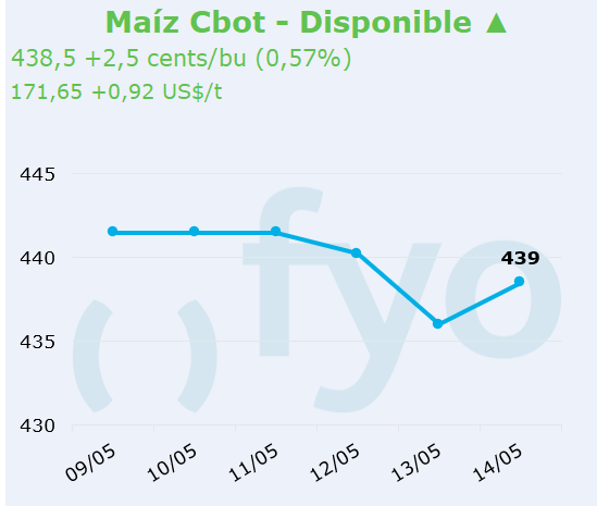 maiz cbot