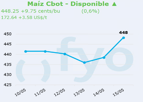 maiz cbot