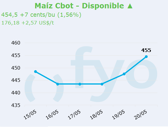 maiz cbot