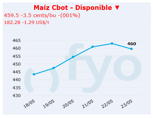 maiz cbot