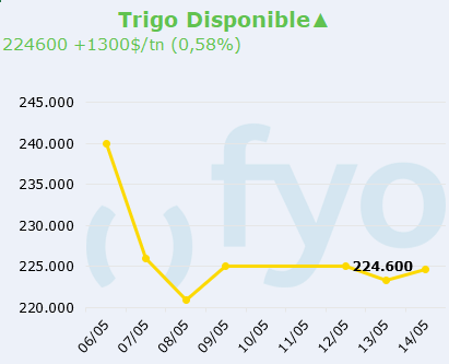 trigo LOCAL