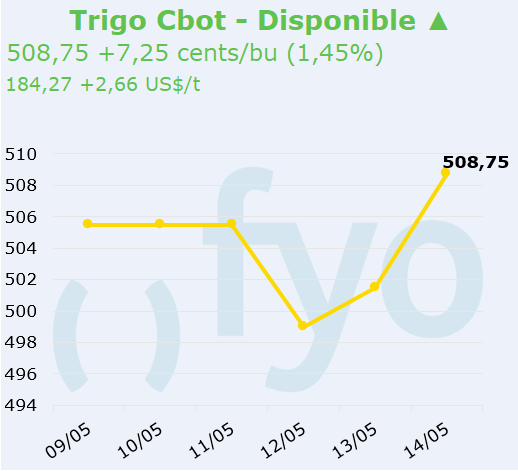 trigo cbot