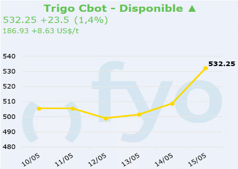 trigo cbot