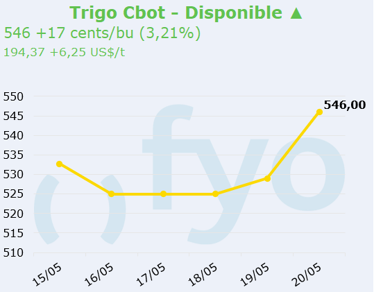 trigo cbot