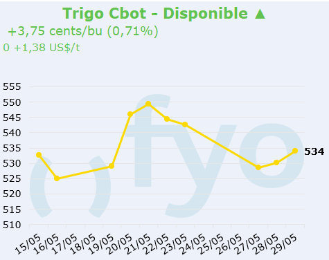 trigo cbot