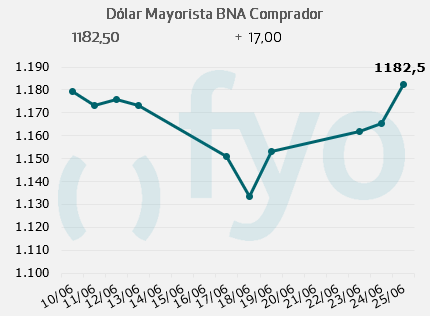 dolar bna