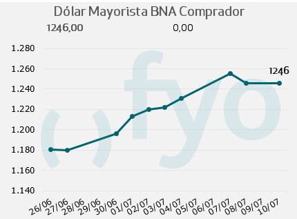 dolar bna