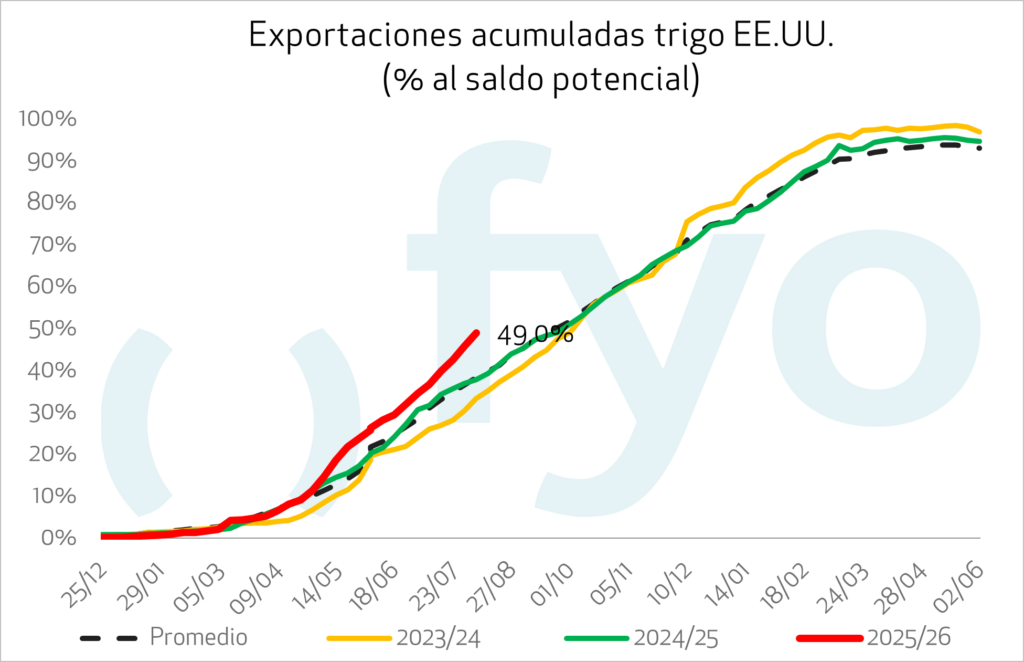 Esta imagen tiene un atributo alt vacío; el nombre del archivo es TRIGO-1-2-1024x662.png