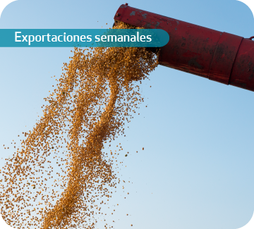 exportaciones-semanales